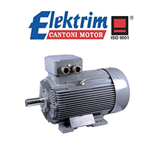 Electric Motor, Induction Motor