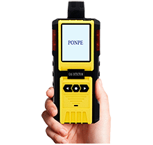 PONPE 32X MULTI GAS DETECTOR - PROTRONICS CO LTD