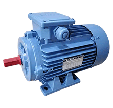 INDUSTRIAL MOTORS - YILMAZ (THAILAND) CO LTD