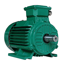 Low Voltage Motor - THREERAPLEX CO LTD