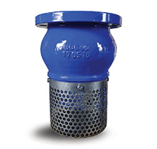 Foot Valve - THREERAPLEX CO LTD