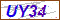 Key in what you see in this image before submitting the form