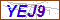 Key in what you see in this image before submitting the form