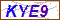 Key in what you see in this image before submitting the form