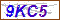 Key in what you see in this image before submitting the form