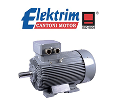 Electric Motor, Induction Motor - VANICH GROUP